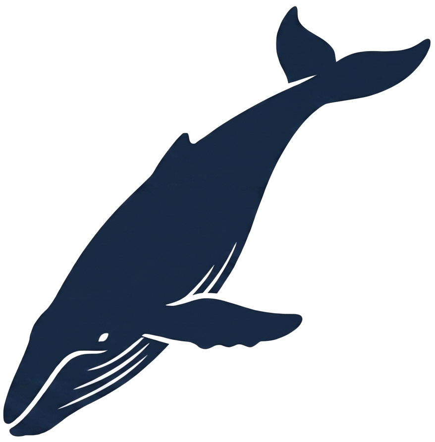 海を泳ぐクジラ